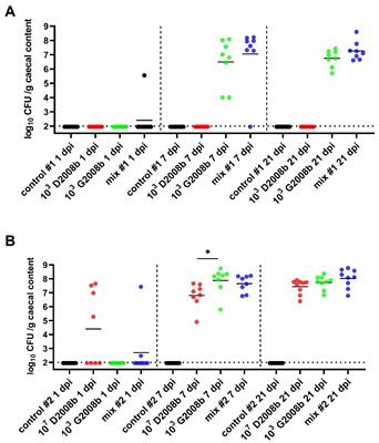 Observations supporting hypothetical commensalism and competition between two Campylobacter jejuni strains colonizing the broiler chicken gut